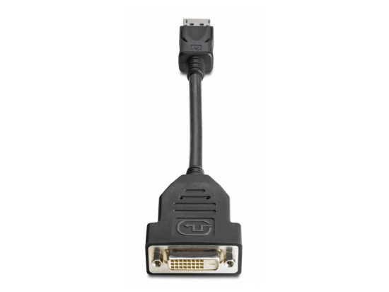 DisplayPort To DVI-D Adapter          FH973AA