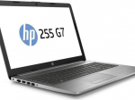 Notebook 255 G7 R3-2200U W10P 256/8GB/DVD/15,6 2XY61EA